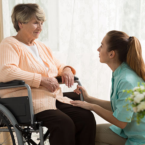 companion home care service pembrokeshire